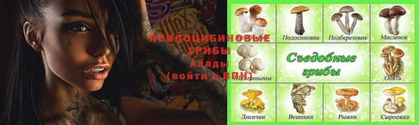 крисы Белоозёрский