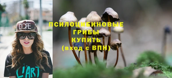 крисы Белоозёрский