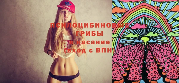 крисы Белоозёрский